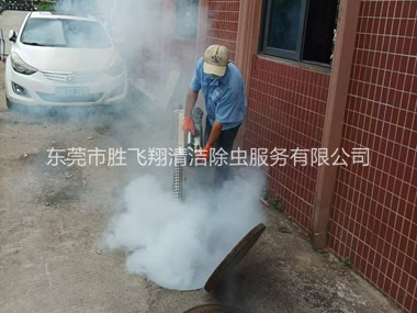 虎门防疫消毒杀菌工程